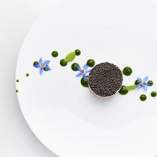 Le Chantecler - 3