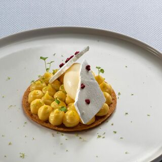Fleur de Sureau - 3
