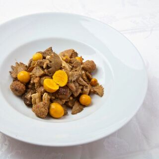 Vascello d'Oro - 0