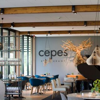 Cèpes - 0
