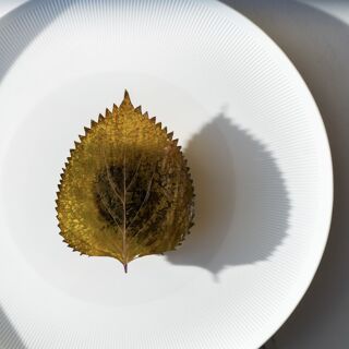Saporium Firenze - 4