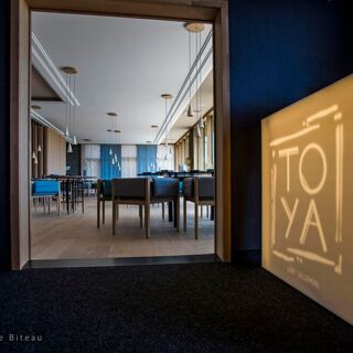 Toya - 1