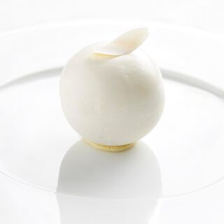 Silene - 2