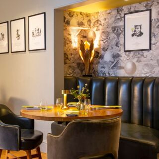 Olive Tree - 15