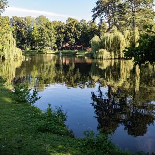 Wilhelminapark - 1